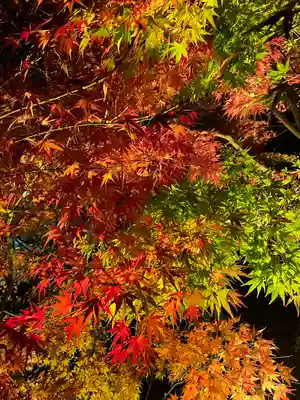 尊永寺(静岡県)
