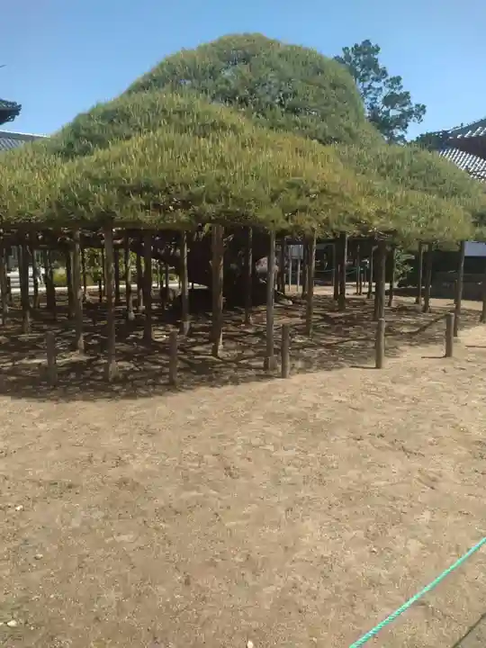 無能寺(福島県)