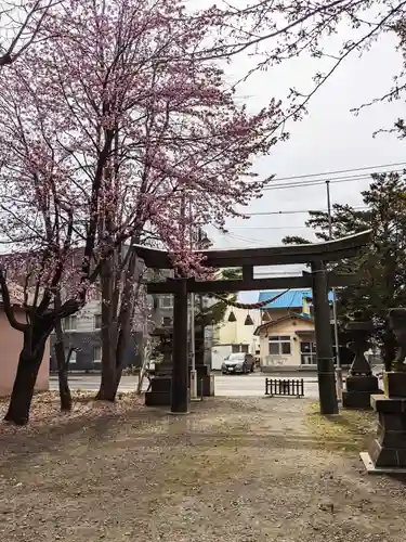 信濃神社の鳥居