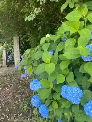 下野 星宮神社(栃木県)