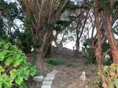 富士大神の周辺