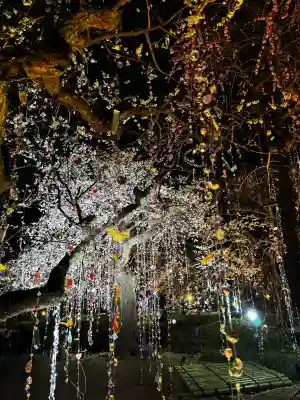 北野天満宮の{uncategorized: "未分類", other: "その他", undefined: "問題あり", building: "その他建物", grave: "お墓", sacred_gate: "鳥居", guardian: "狛犬", statue: "像", buddha: "仏像", history: "歴史", nature: "自然", garden: "庭園", animal: "動物", pagoda: "塔", temizu: "手水舎", mountain_gate: "山門・神門", sanctuary: "本殿・本堂", subordinate: "末社・摂社", art: "芸術", scenery: "景色", jizo: "地蔵", ema: "絵馬", goshuin: "御朱印", omikuji: "おみくじ", items: "授与品その他", amulet: "お守り", goshuincho: "御朱印帳", eats: "食事", festival: "お祭り", votive_dance: "神楽", shichigosan: "七五三参", wedding: "結婚式", experience: "体験その他", initially: "初詣", around: "周辺", anti_infection: "感染症対策"}