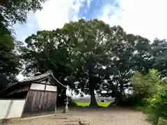 八幡神社(奈良県)