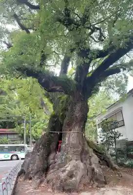 五所神社(神奈川県)