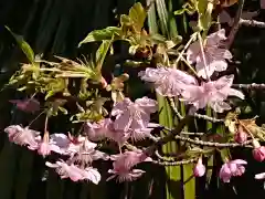 六所神社の自然