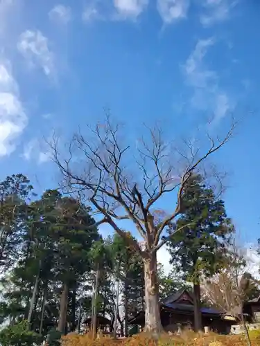 阿久津「田村神社」（郡山市阿久津町）旧社名：伊豆箱根三嶋三社(福島県)