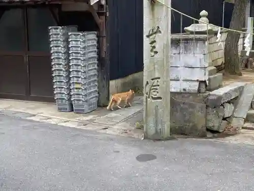 天満神社の動物