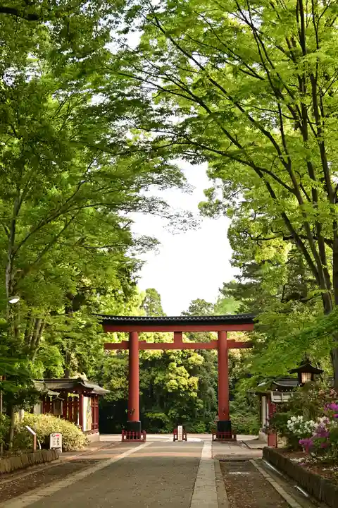 武蔵一宮氷川神社(埼玉県)