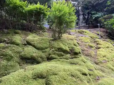 鶴林寺(徳島県)