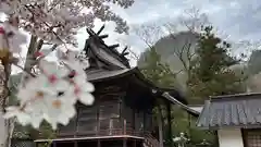 大本八幡神社(岡山県)