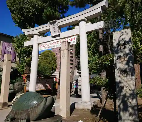 亀有香取神社の鳥居