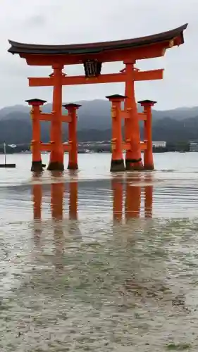 厳島神社の{uncategorized: "未分類", other: "その他", undefined: "問題あり", building: "その他建物", grave: "お墓", sacred_gate: "鳥居", guardian: "狛犬", statue: "像", buddha: "仏像", history: "歴史", nature: "自然", garden: "庭園", animal: "動物", pagoda: "塔", temizu: "手水舎", mountain_gate: "山門・神門", sanctuary: "本殿・本堂", subordinate: "末社・摂社", art: "芸術", scenery: "景色", jizo: "地蔵", ema: "絵馬", goshuin: "御朱印", omikuji: "おみくじ", items: "授与品その他", amulet: "お守り", goshuincho: "御朱印帳", eats: "食事", festival: "お祭り", votive_dance: "神楽", shichigosan: "七五三参", wedding: "結婚式", experience: "体験その他", initially: "初詣", around: "周辺", anti_infection: "感染症対策"}