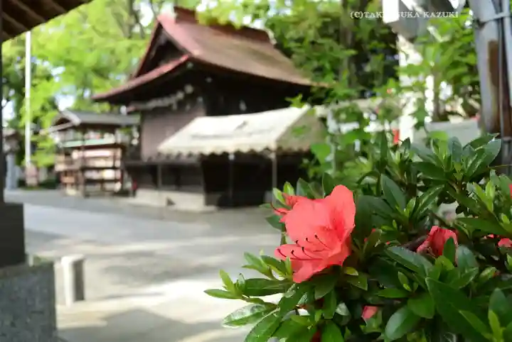 多摩川浅間神社(東京都)