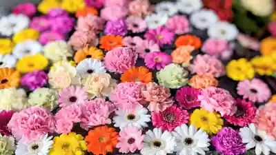 金蛇水神社(宮城県)