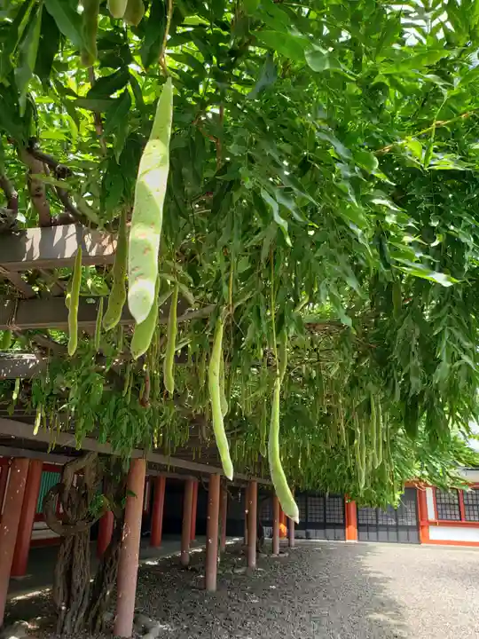 日枝神社(東京都)