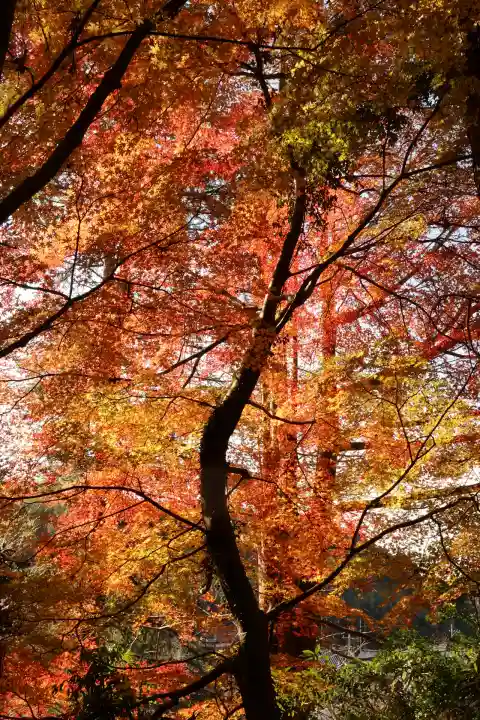 香取神宮(千葉県)