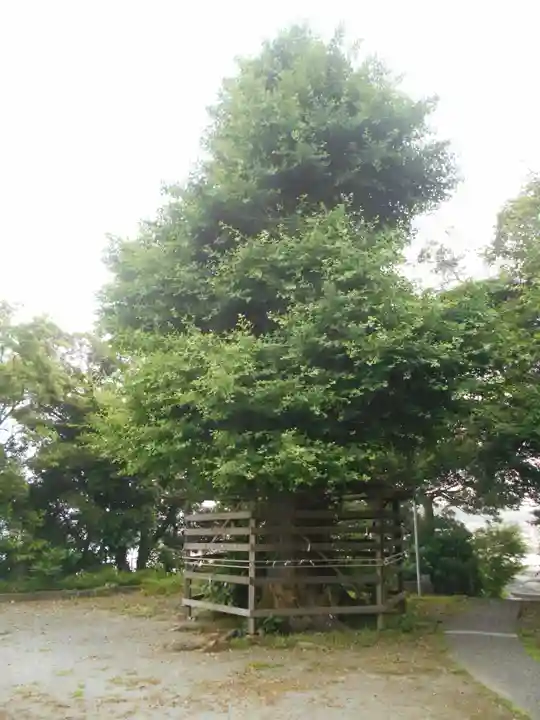 熊野神社(長井熊野神社)のその他建物