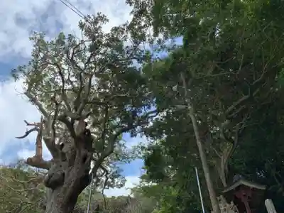 武内神社の自然