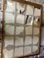 大宮温泉神社(栃木県)