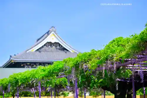 三学院(埼玉県)