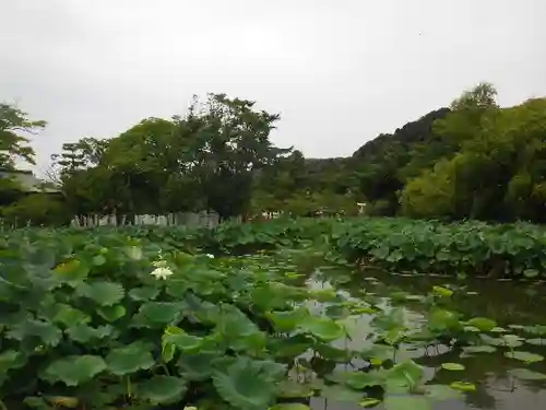 鶴岡八幡宮の庭園