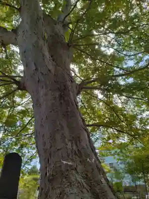 鹿島御子神社(福島県)