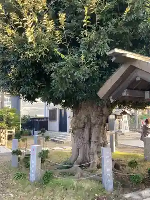 香取神社(旭町香取神社・大鳥神社)(千葉県)