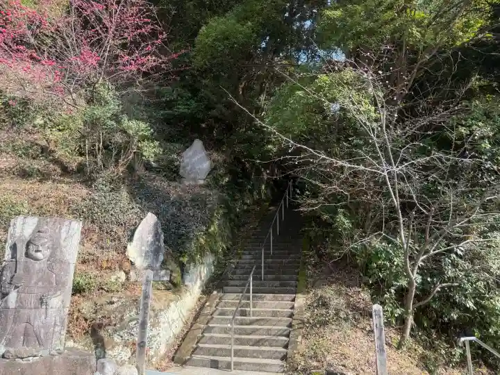 稱名寺(称名寺)の{uncategorized: "未分類", other: "その他", undefined: "問題あり", building: "その他建物", grave: "お墓", sacred_gate: "鳥居", guardian: "狛犬", statue: "像", buddha: "仏像", history: "歴史", nature: "自然", garden: "庭園", animal: "動物", pagoda: "塔", temizu: "手水舎", mountain_gate: "山門・神門", sanctuary: "本殿・本堂", subordinate: "末社・摂社", art: "芸術", scenery: "景色", jizo: "地蔵", ema: "絵馬", goshuin: "御朱印", omikuji: "おみくじ", items: "授与品その他", amulet: "お守り", goshuincho: "御朱印帳", eats: "食事", festival: "お祭り", votive_dance: "神楽", shichigosan: "七五三参", wedding: "結婚式", experience: "体験その他", initially: "初詣", around: "周辺", anti_infection: "感染症対策"}