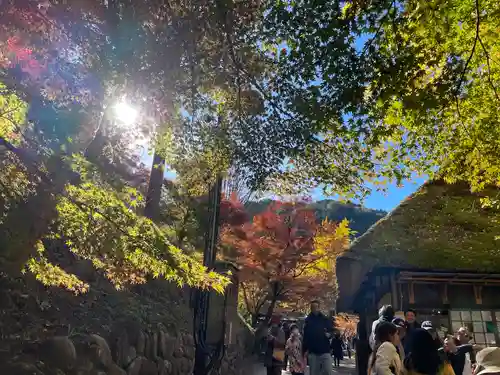 足助八幡宮(愛知県)