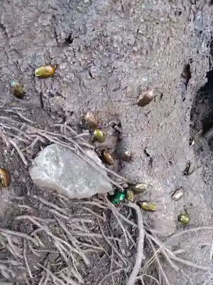 下高井戸八幡神社(東京都)