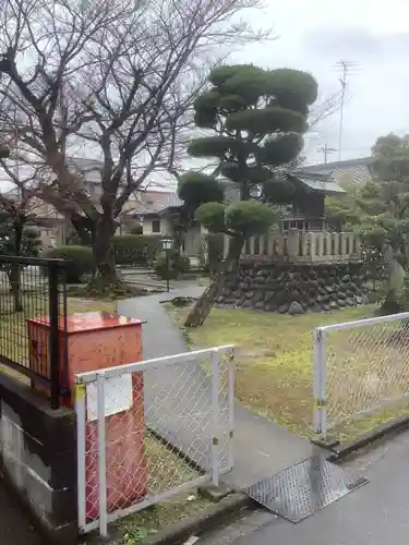 大和神社の自然