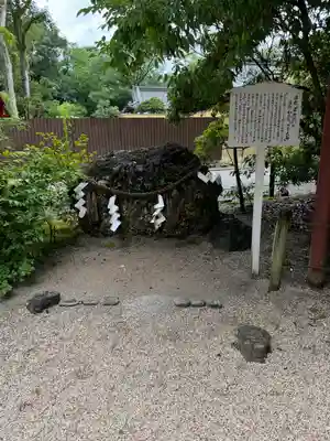 賀茂御祖神社（下鴨神社）(京都府)