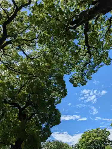 星川杉山神社(神奈川県)