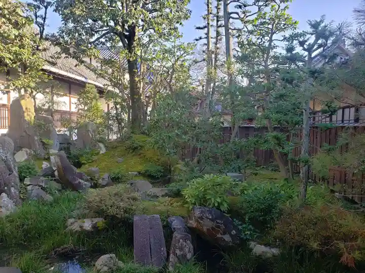 大通寺(長浜御坊)の庭園