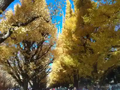 青山熊野神社(東京都)