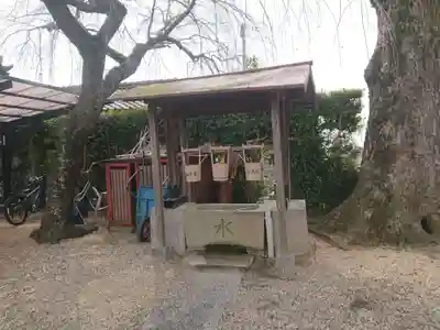 報恩寺の手水舎