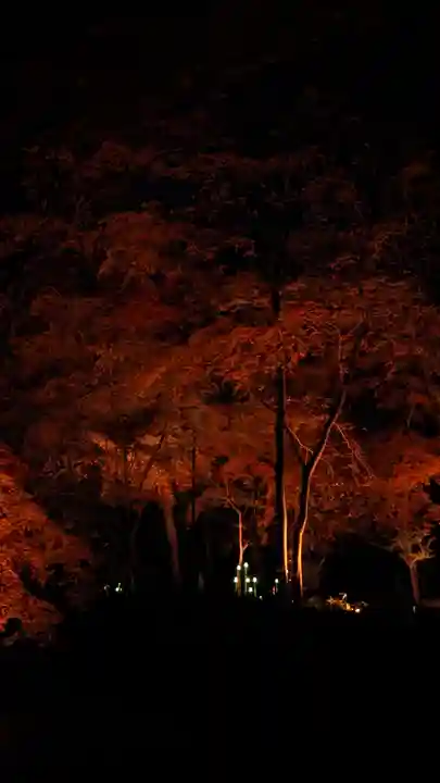 賀茂御祖神社(下鴨神社)(京都府)