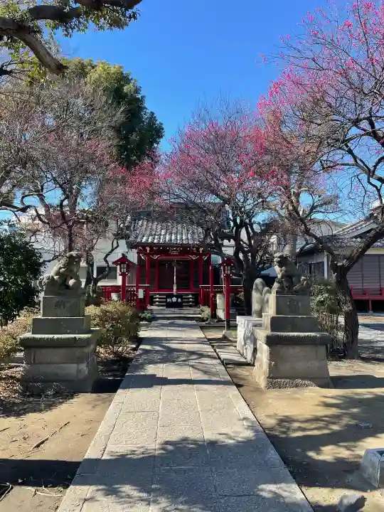 北野天神(仲六郷北野神社)の{uncategorized: "未分類", other: "その他", undefined: "問題あり", building: "その他建物", grave: "お墓", sacred_gate: "鳥居", guardian: "狛犬", statue: "像", buddha: "仏像", history: "歴史", nature: "自然", garden: "庭園", animal: "動物", pagoda: "塔", temizu: "手水舎", mountain_gate: "山門・神門", sanctuary: "本殿・本堂", subordinate: "末社・摂社", art: "芸術", scenery: "景色", jizo: "地蔵", ema: "絵馬", goshuin: "御朱印", omikuji: "おみくじ", items: "授与品その他", amulet: "お守り", goshuincho: "御朱印帳", eats: "食事", festival: "お祭り", votive_dance: "神楽", shichigosan: "七五三参", wedding: "結婚式", experience: "体験その他", initially: "初詣", around: "周辺", anti_infection: "感染症対策"}