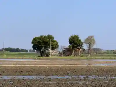 日吉神社のその他建物