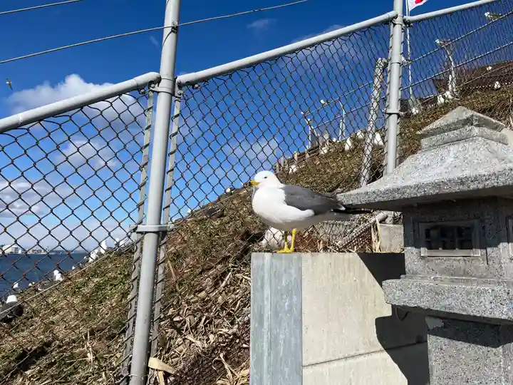 蕪嶋神社(青森県)