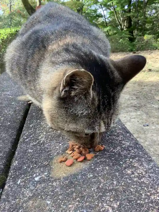 玉野御嶽神社の動物