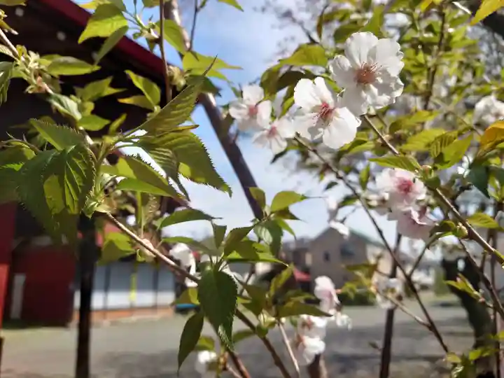 正八幡宮(神奈川県)
