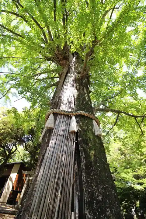 赤坂氷川神社(東京都)