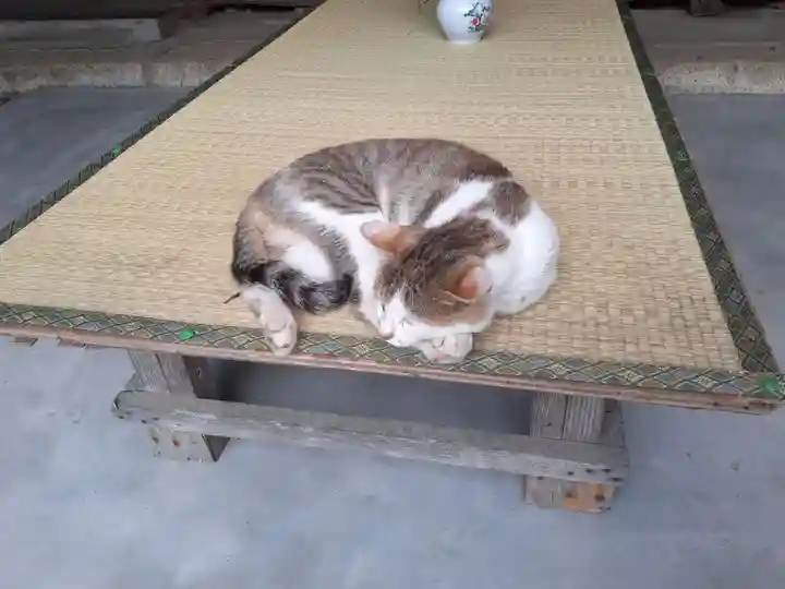 山寺千手院の動物