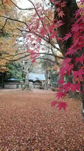 都々古別神社(馬場)の景色