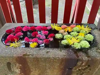 蛇松神社(新潟県)