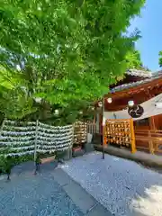 川越熊野神社の建物その他