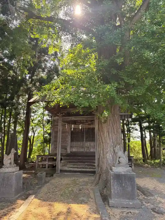 稲荷神社の{uncategorized: "未分類", other: "その他", undefined: "問題あり", building: "その他建物", grave: "お墓", sacred_gate: "鳥居", guardian: "狛犬", statue: "像", buddha: "仏像", history: "歴史", nature: "自然", garden: "庭園", animal: "動物", pagoda: "塔", temizu: "手水舎", mountain_gate: "山門・神門", sanctuary: "本殿・本堂", subordinate: "末社・摂社", art: "芸術", scenery: "景色", jizo: "地蔵", ema: "絵馬", goshuin: "御朱印", omikuji: "おみくじ", items: "授与品その他", amulet: "お守り", goshuincho: "御朱印帳", eats: "食事", festival: "お祭り", votive_dance: "神楽", shichigosan: "七五三参", wedding: "結婚式", experience: "体験その他", initially: "初詣", around: "周辺", anti_infection: "感染症対策"}
