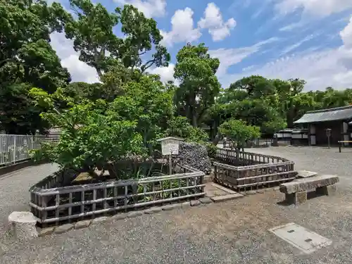 鶴岡八幡宮の庭園