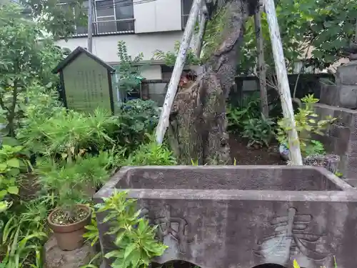 谷中 妙福寺(東京都)